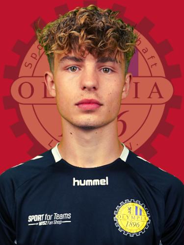 Theo Johannes Müller