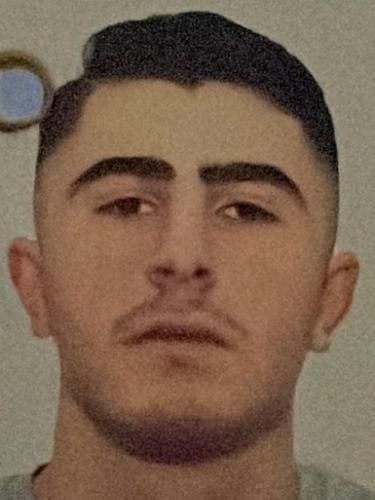 Meric Dogan