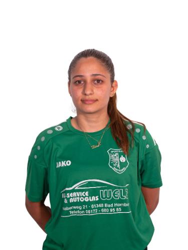 Sanam Gholizadeh