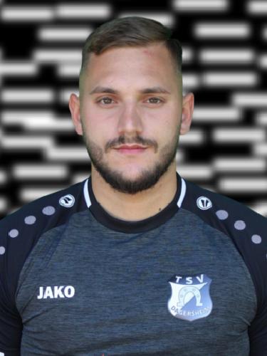 Besjan Ibra