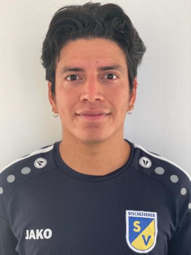 Cesar Alejandro Gonzalez Cedeno