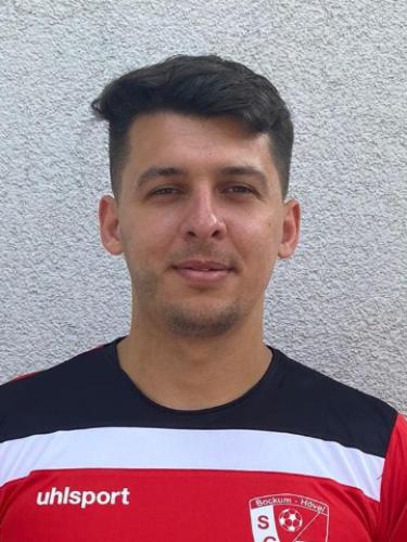 Alexander Dubina