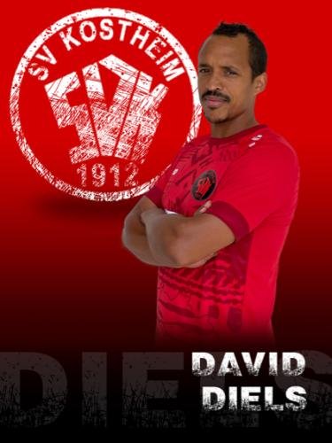 David Diels