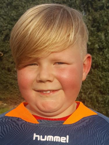 Hannes Hamel