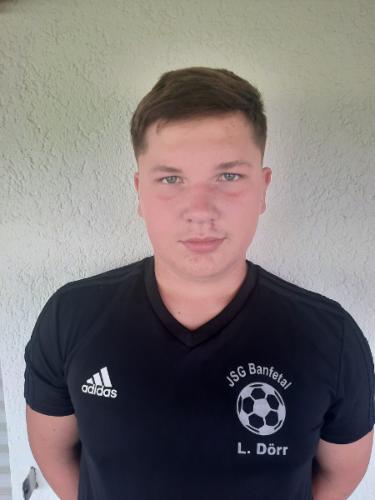 Luis Dörr