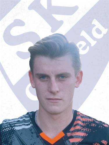 Serhii Katerynych
