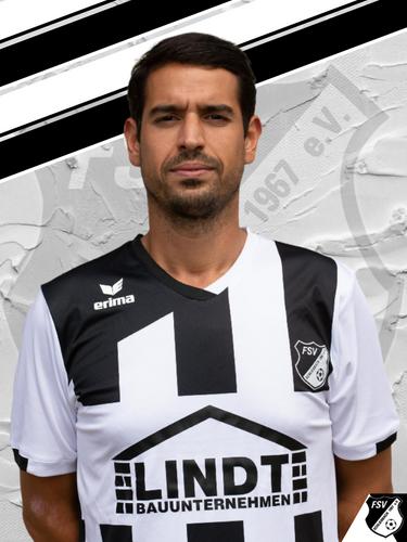 Vitor Manuel Correia Martins