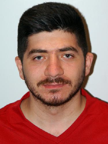 Mehmet Sahin