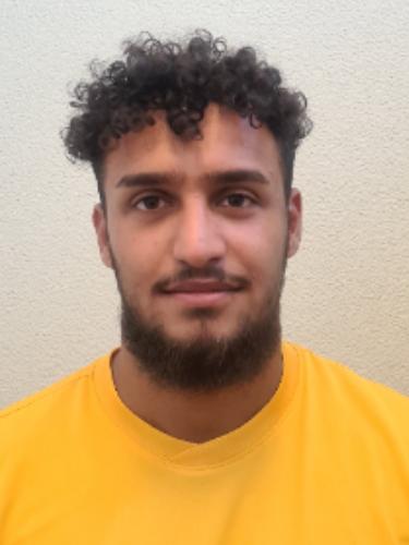 Ali Merhi
