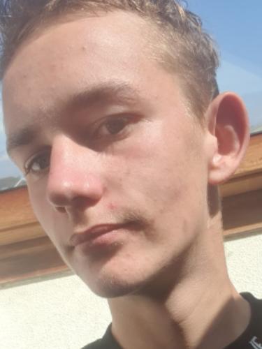 Nico Wiese