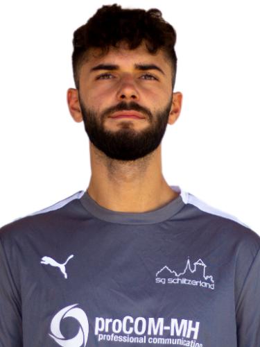 Demir Hajrovic