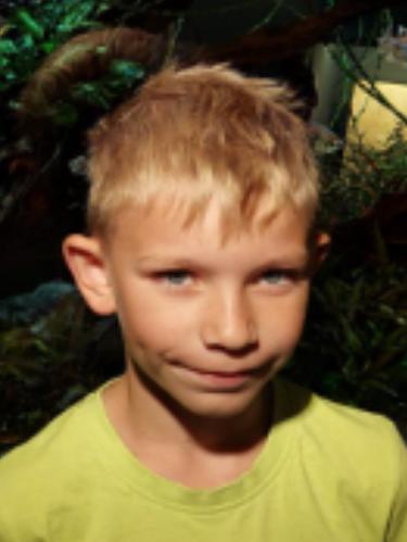 Max-Florian Ostrowski