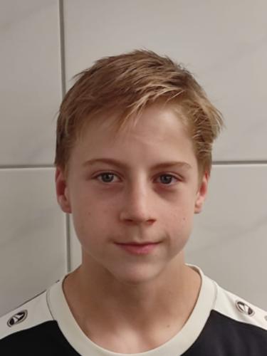 Louis von Detten