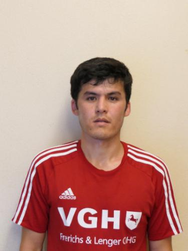 Mehdi Muradi