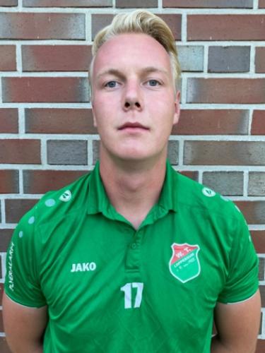 Bjarne Dorin