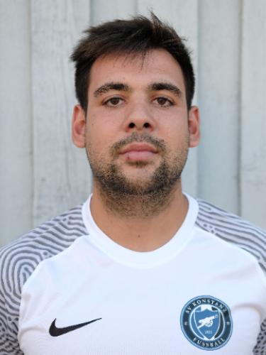 Deniz Remo Sasa Zivoder