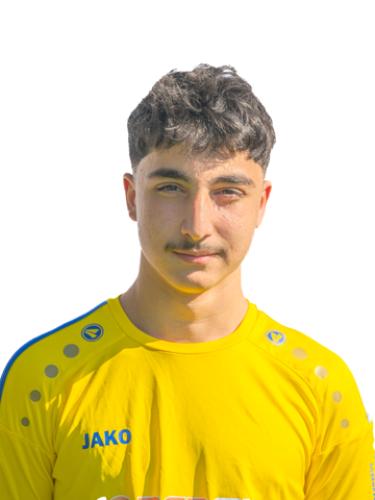 Ali Sofizada