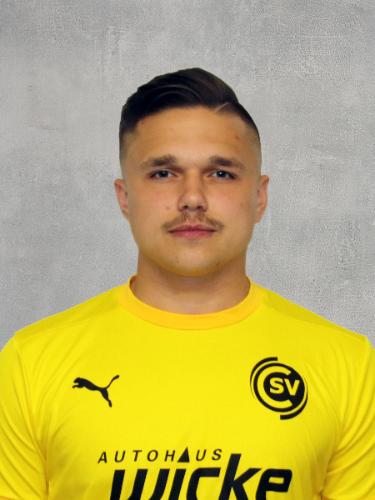 Carlos Sauer