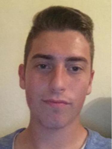 Dominik Sauer