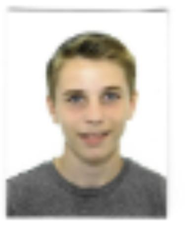 Niklas Lauer