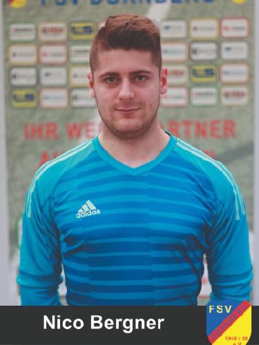 Nico Bergner