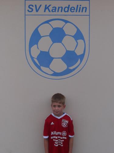 Albert Johannes Westphal