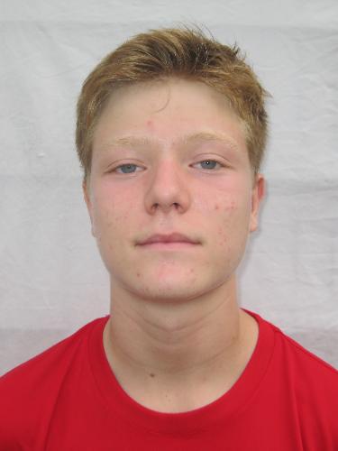 Henrik Luka Unger