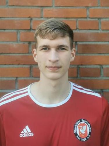 Henrik Robert Wilhelm Henzel