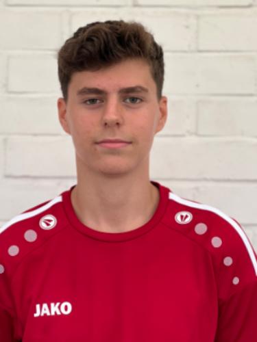 Volodymyr Zlatopol's'kyy