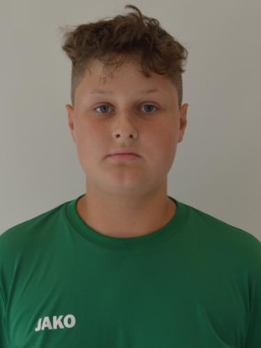 Maik Niko Wiens