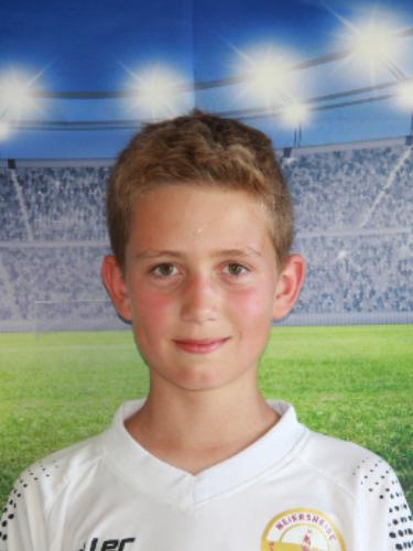 Henrik Wilhelm Schweer