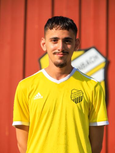 Mohamed Fadel Hawilo