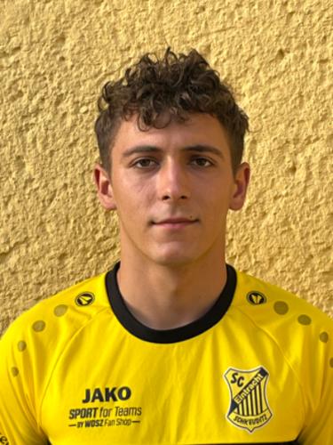 Dragos-Mihai Ghiurca