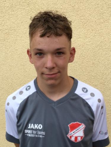 Niklas Alexander Schmoll
