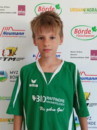 Konstantin Goldstein