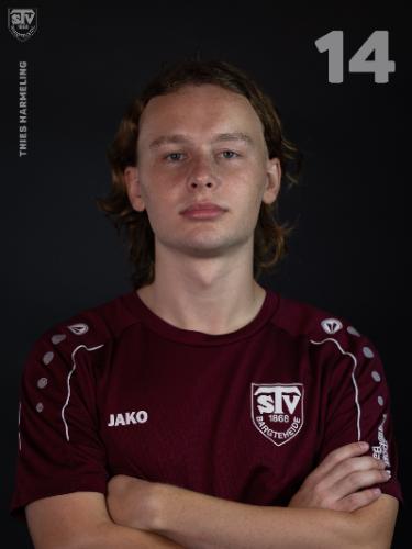 Thies Cornelius Christian Harmeling