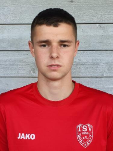 Miroslav Vaclav Kratochvil