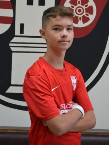 Mihailo Ilic
