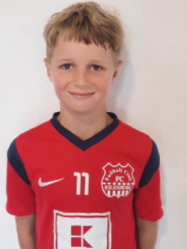 Levis Benjamin Werner