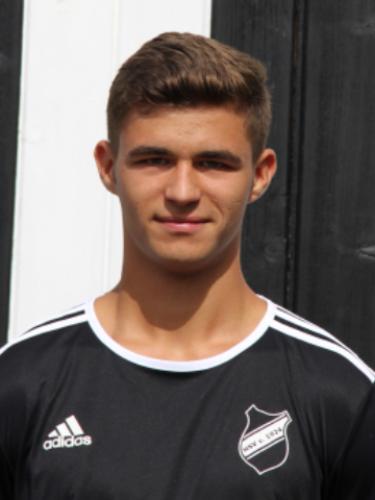 Niklas Carl Goertz