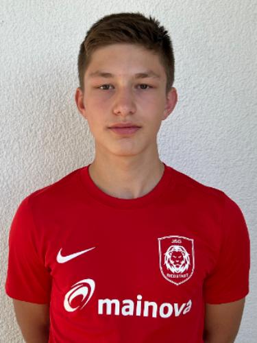 Levin Feist