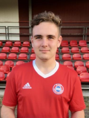 Dominik Kronschnabel