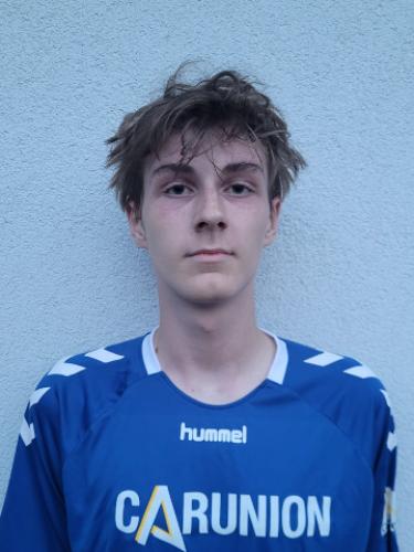 Niklas Günter Wetzig