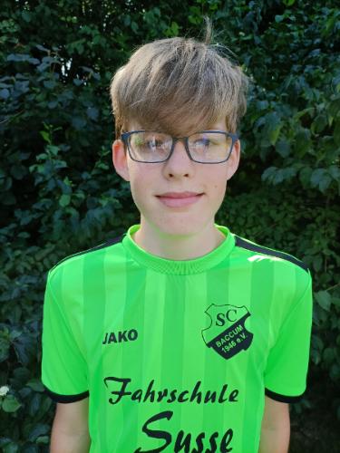 Johannes Schoo