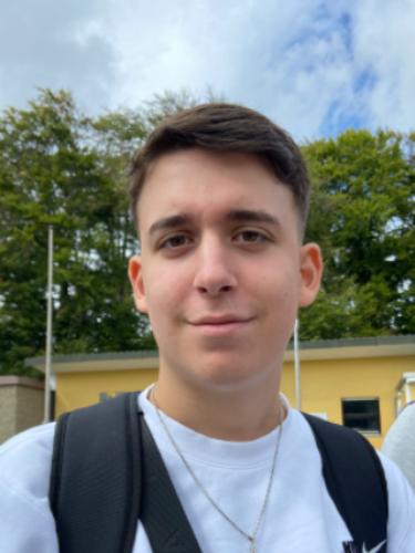 Danilo Negucic