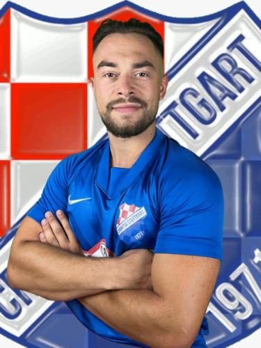 Tomislav Mesic