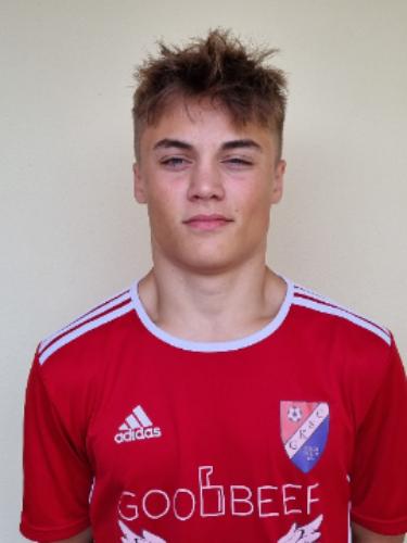 Vincent Aurel Martin Mellin