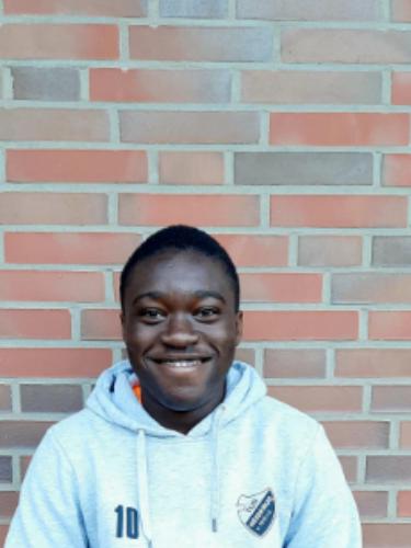 Elwin Palmann Czemerys