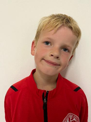 Laik Stammer