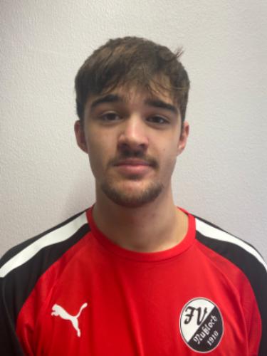 Vincent David Freudenfeld